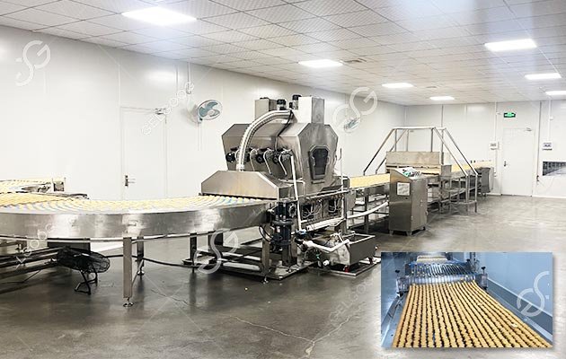 Produsen Lini Produksi Biskuit GELGOOG