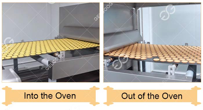 Lini Biskuit - Oven Pemanggang Lini Biskuit - Oven Pemanggang